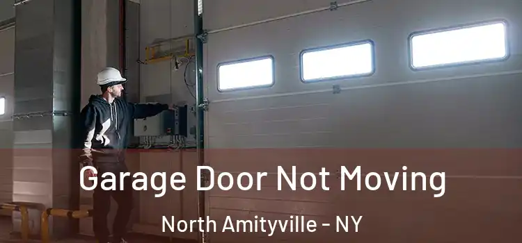  Garage Door Not Moving North Amityville - NY